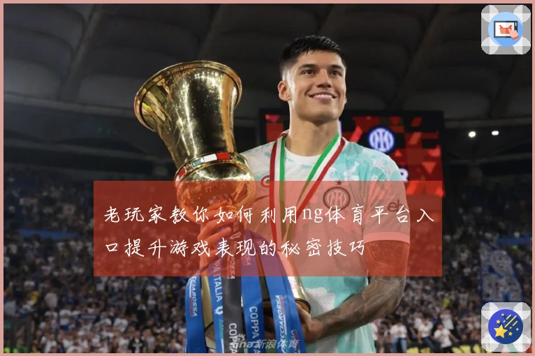 老玩家教你如何利用ng体育平台入口提升游戏表现的秘密技巧