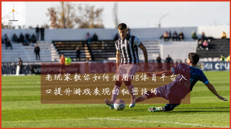老玩家教你如何利用ng体育平台入口提升游戏表现的秘密技巧